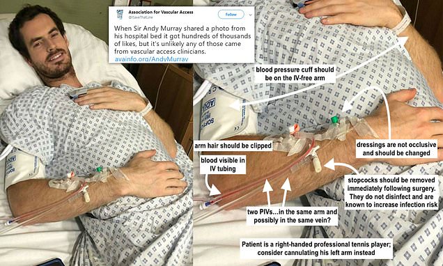 ‘Your clinical relevance really is lacking!’ British medics hit back at US doctors who pointed out SEVEN ‘mistakes’ in Andy Murray’s care as hospital bed selfie sparks transatlantic spat